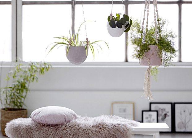 A burst of spring colour | These Four Walls blog