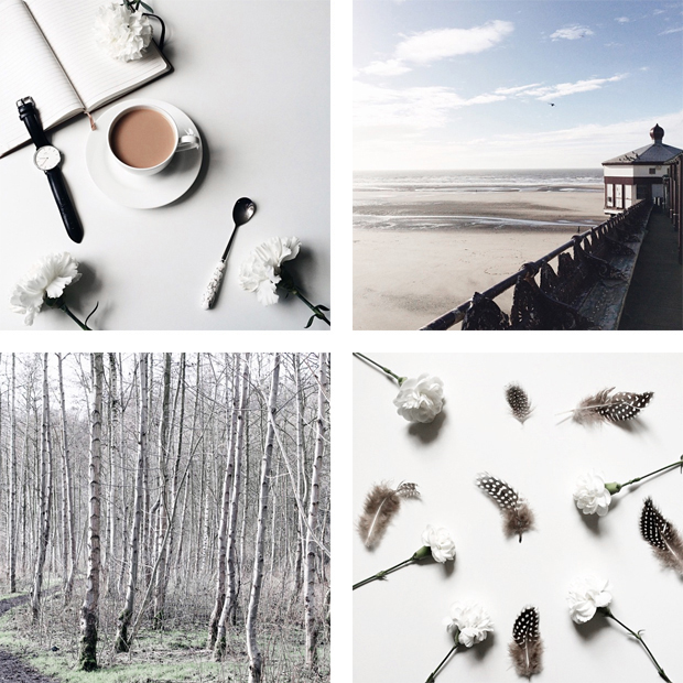 Instagram Inspiration - Blend & Bloom | These Four Walls blog