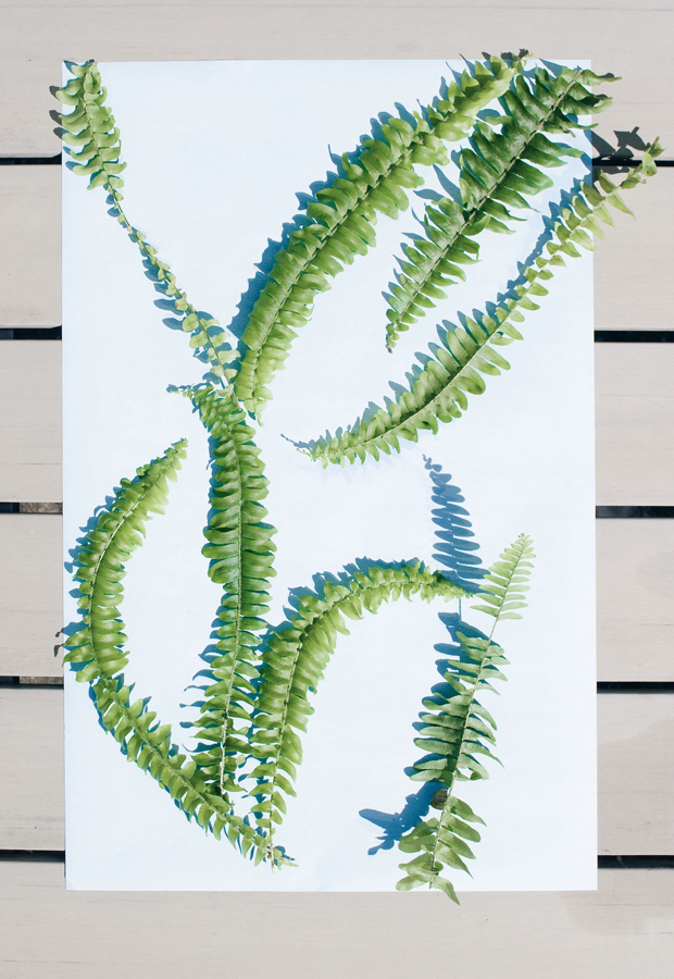 Urban Jungle Bloggers | Plants & Art | These Four Walls blog