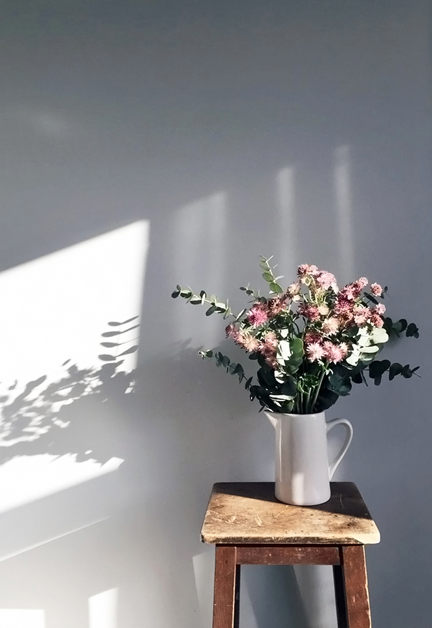 Urban Jungle Bloggers | Plants and flowers | These Four Walls blog