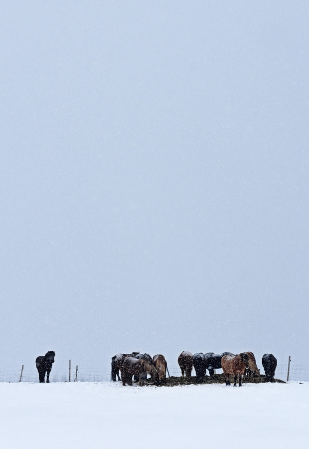 Iceland | Ion Hotel & the Golden Circle | These Four Walls blog