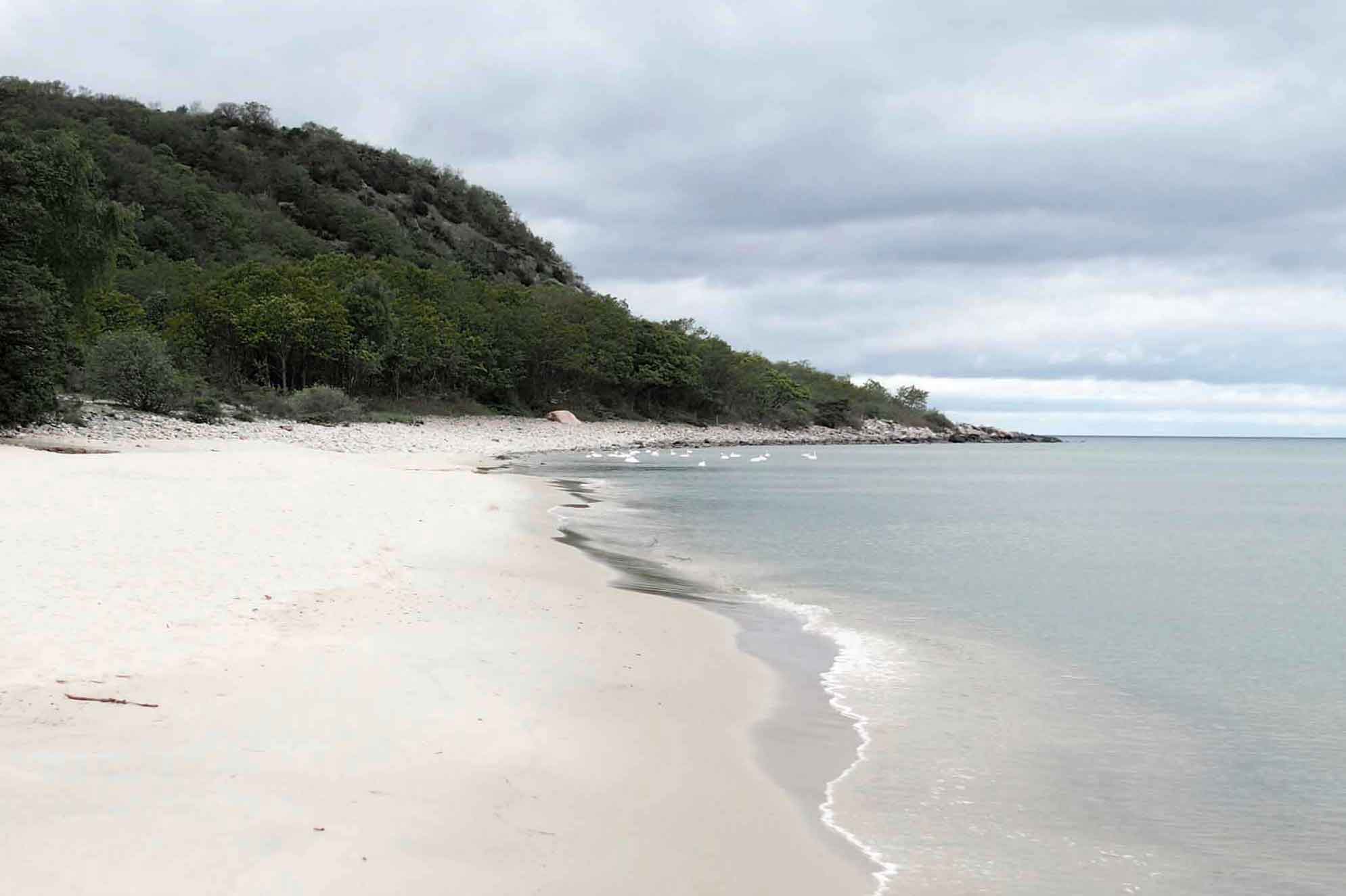 Exploring Skåne - the south-east coast | These Four Walls blog